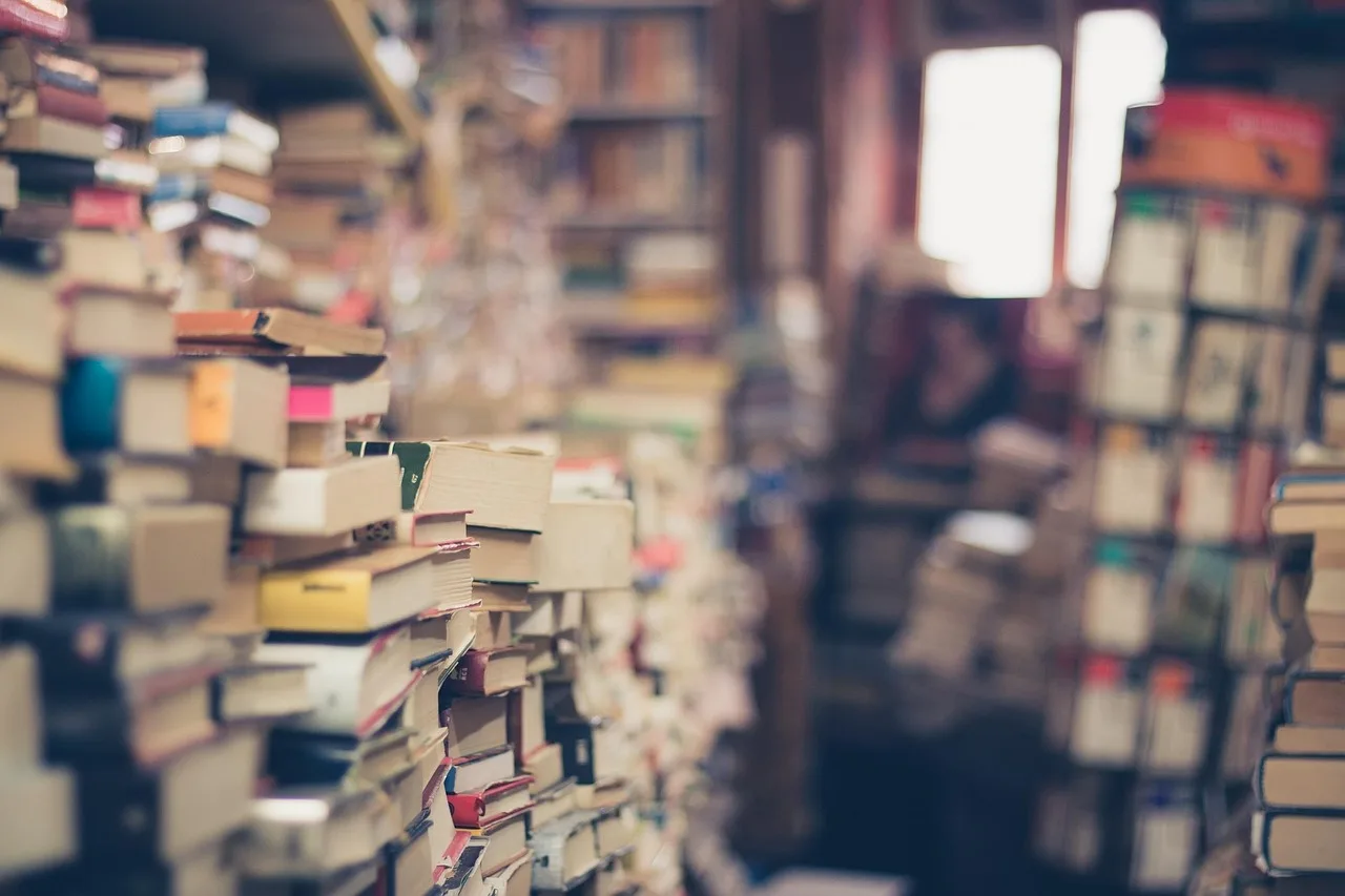 böcker, stack, bokhandel, hög med böcker, 2 a handen, retro, hipster, affär, gammal, trendiga, årgång, resa, venedig, rörig, litteratur, bibliotek, utbildning, kunskap, romaner, historier, böcker, böcker, böcker, böcker, böcker, bibliotek, bibliotek